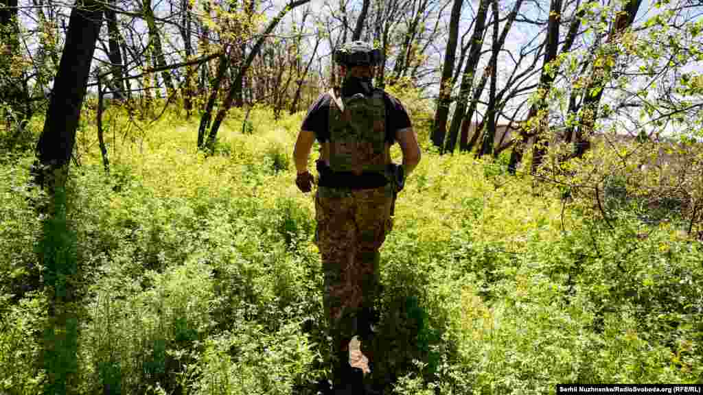 Йдемо до позицій по &laquo;зеленці&raquo;, що вже вкрила посадки Донбасу&nbsp;