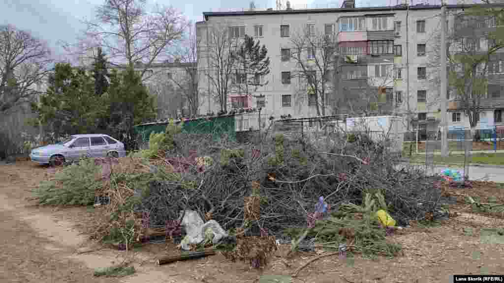 Величезна купа зі зрізаних гілок і викинутих ялинок біля будинку №20 на проспекті Перемоги