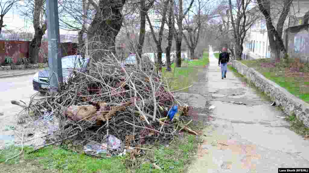 Купа зрізаних гілок лежить прямо на вулиці біля будинку №17 на вулиці Горпищенка