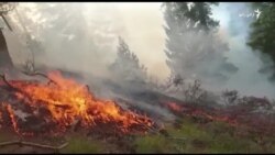 ځايي اوسېدونکي: لا هم د کونړ او نورستان په ځنګلونو کې اور بل دى