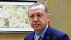 د ترکیې ولسمشر رجب طیب اردوغان