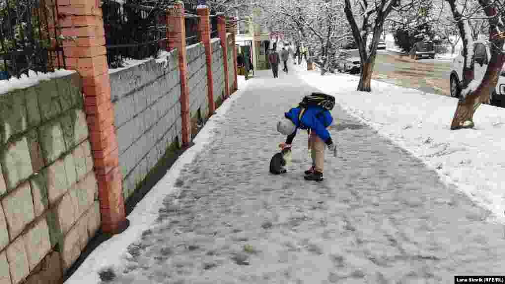 Хлопчик гладить вуличного кота