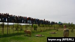 Ярослав Зубков присутній під час годування левів у відкритому сафарі