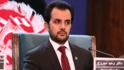 وحید مجروح