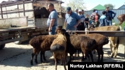 Жетіген ауылындағы мал базары. Алматы облысы, 19 мамыр 2019 жыл.