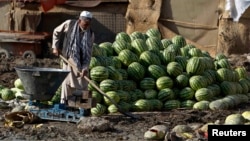 زر ټنه هندواڼه هم د ځمکې له لارې اذربایجان ته صادرېږي