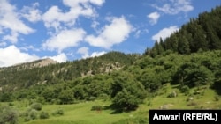 نورستان ولایت