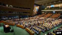 United Nations General Assembly 