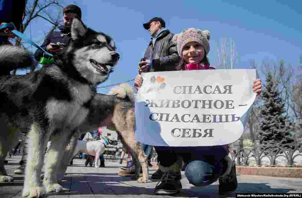 Учасники ходи закликали: якщо будемо байдужими, бездомних тварин стане ще більше