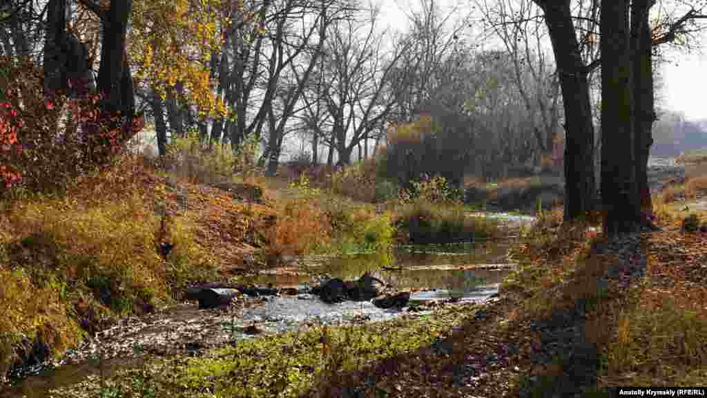 Сонячний осінній ранок над маленькою річкою